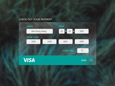 Credit Card Payment daily ui