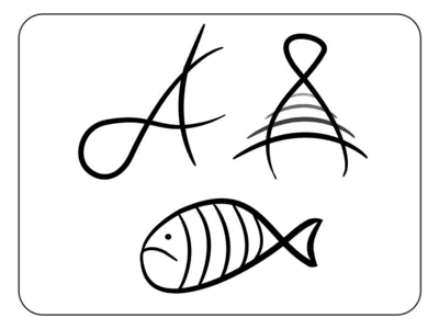 Letter - A a letter animal illustration