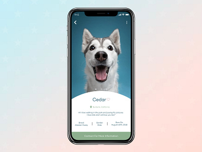 User Profile - Dog Adoption 006 alaskan husky daily ui daily ui 006 daily ui challenge dailyui design dog adoption dogs husky mobile mobile design mobile ui mobile ui design ux