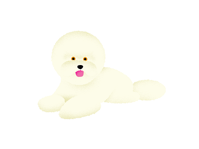 Bichon