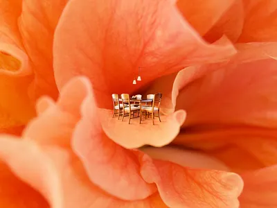 Glade Air Freshener advertising air freshener glade photo composite photoshop retouching