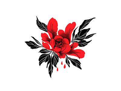 Кed peony black blood flower peony red