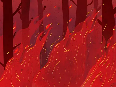 Wildfire adobe illustration artworks creativeart design graphicdesign illustration illustrator vector vectorart