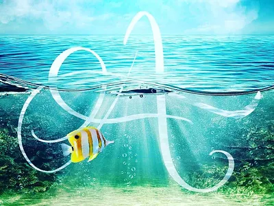 A - 36 Days of Type 36 days of type 36daysoftype calligraphy illustration lettering procreate type