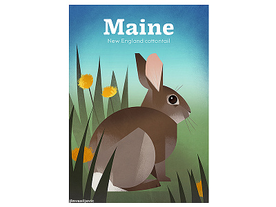 MAINE New England Cottontail Poster america animal art dandelion design digital drawing grass hare illustration jelena vasiljevic jln maine minimal nature poster rabbit spring usa