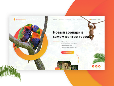 Zoo concept adobe photoshop concept design figma figmadesign ui ux web web design website zoo