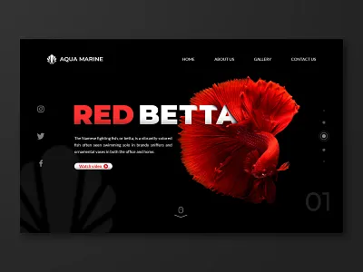 Daily UI: 003 Landing Page adobe illustrator adobe photoshop aquarium black challenge daily daily 100 challenge daily ui dailyui dailyui003 landing landing page landing page design landingpage red ui uidesign white