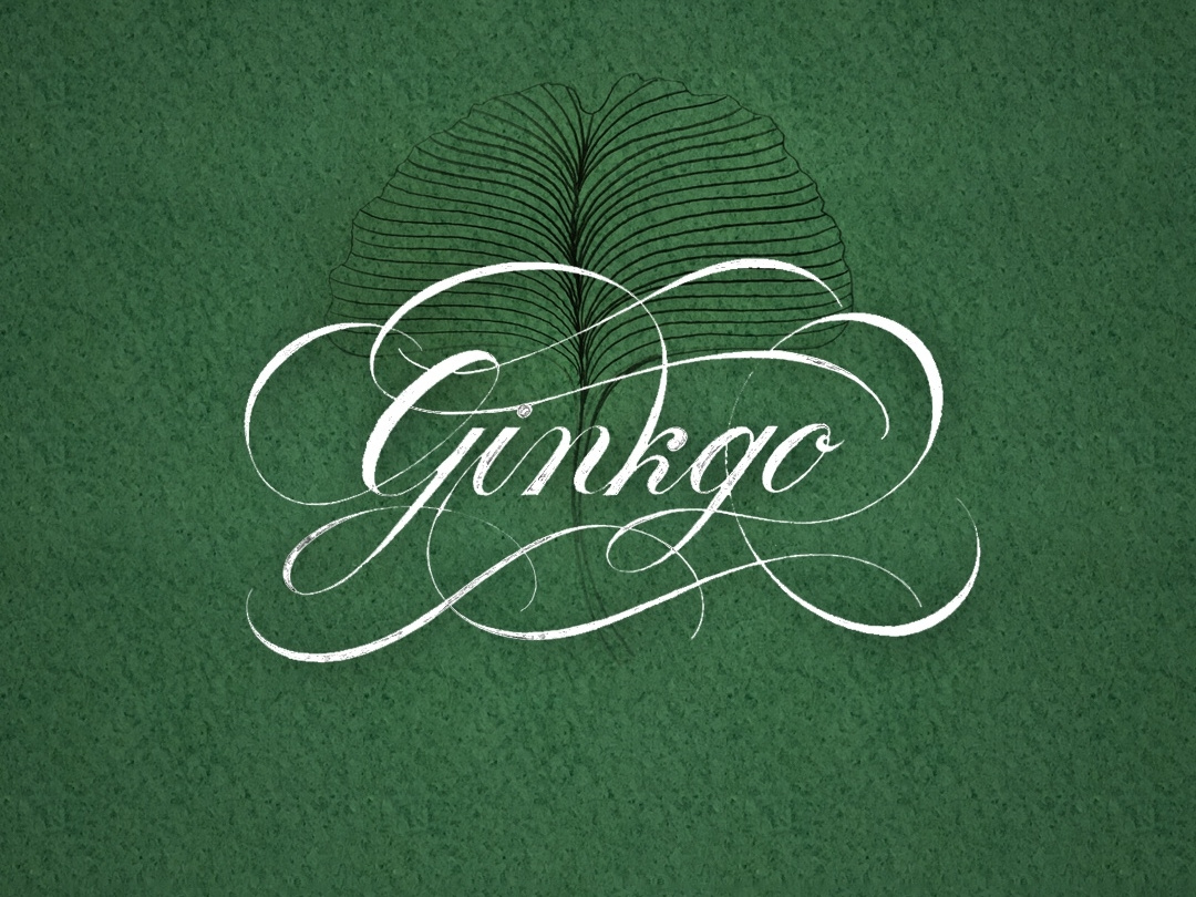 Ginkgo by Robert Bree on Dribbble
