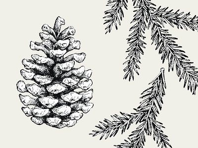 Dotwork Fir art blackwork branch decorative dotwork drawing fir cone forest hand drawn illustration ink inkdrawing tree vector