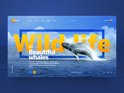 Animals animals concept diseño gráfico illustration inspiración inspiration interaction interface landing template theme ui design uiux web web design webpage website whales wild animal wildlife