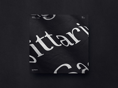Typographic • Exploration 2 art direction creative direction design poster typographic typography visual design