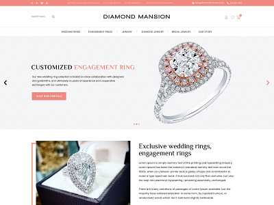 Diamond Mansion Web Page Design branding creative design landing landing page landingpage site web webpage website