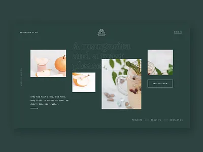 A not-so-brutalist Web Kit brutalism brutalist clean design ecommerce eshop freebie freelancer green minimal serif font shop template typeface typography ui web kit web ui kit webdesign website