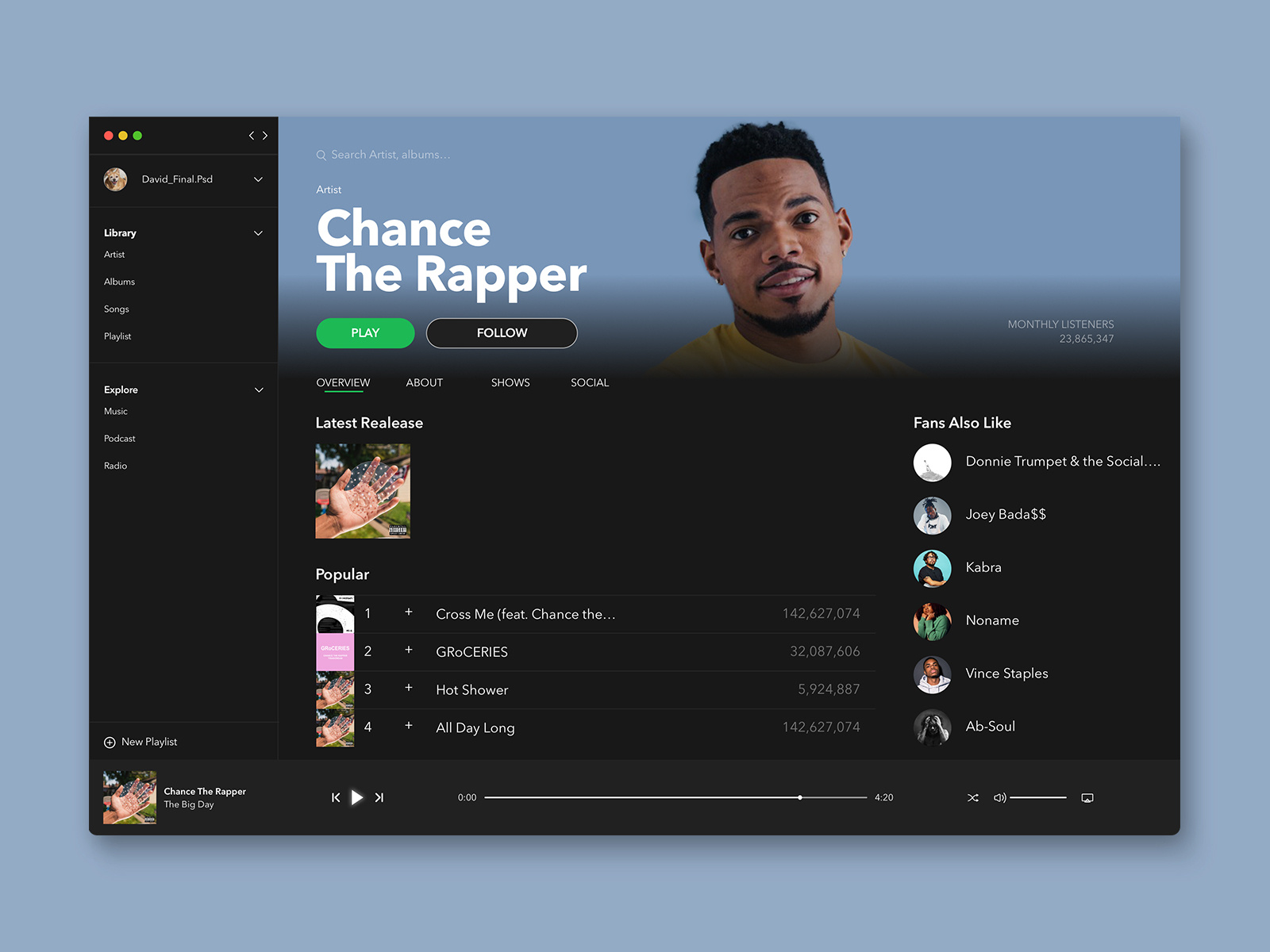 Example of Spotify Dashboard Concept
