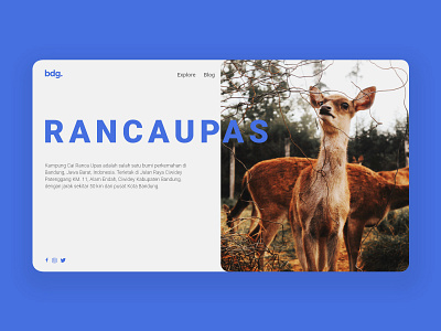 Rancaupas animals deer deers dribbble dribbbler graphic design ui user experience user interface user interface design userinterface ux web design webdesign