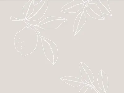 Lemon Illustration art artwork drawing illustration lemon line line art lineart plant vector