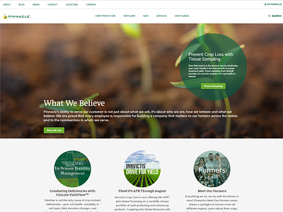 Homepage ui user experience ux web design