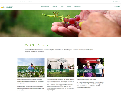 Meet the Farmer typography ui ux web design