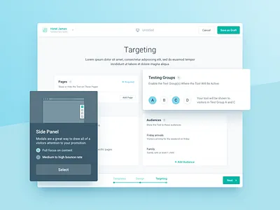 Target Audience Management Webapp cards radio button saas selection webapp widget