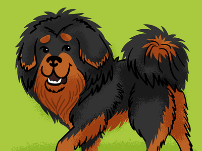 Tibetan Mastiff dog doggust illustration tibetan mastiff