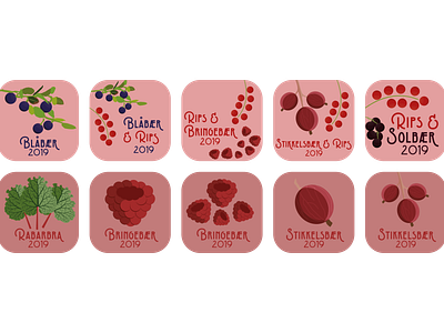 Squash and Jam Labels 2019 adobe illustrator berries berry digital food fruit illustration illustrator jam label norsk norwegian preserve squash tag vector