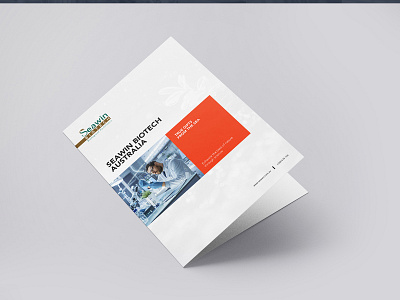 Seawin Brochure Design advertise advertisement brochure brochure design brochure layout brochure mockup brochure template design