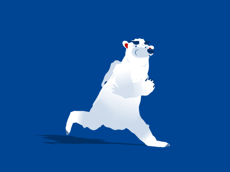 Exhausted Polar Bear after effects animated character bear character animation character design duik exhausted loop pedroso personaje animado polar bear sweaty tired venezuela walk cycle