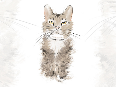 Digital Cat Illustration cat cats digital painting illustration illustration digital painting
