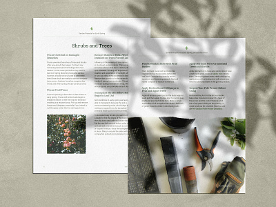 Eartheasy Gardening Guides branding design layout layout design typography