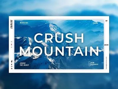 Evolve branding design flat illustration instagram minimal typography ui ux vector web website website design