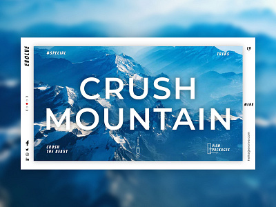 Evolve branding design flat illustration instagram minimal typography ui ux vector web website website design