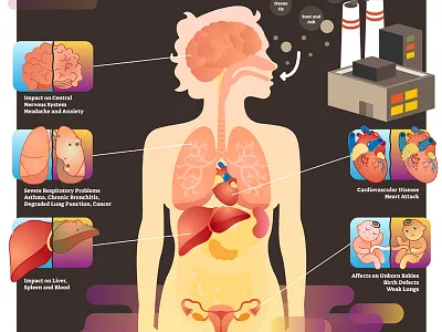Air pollution health effect air co2 damage ecology global warming health illustration infographic pollution vector