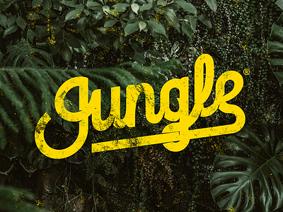 Jungle V2 font jungle lettering letters logo logotype script script lettering typography typography logo