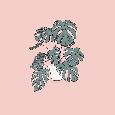 Monstera design drawing illustration ipadpro procreate vector