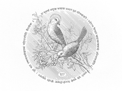 Two Birds bird birds design engraving gravure illustration vector