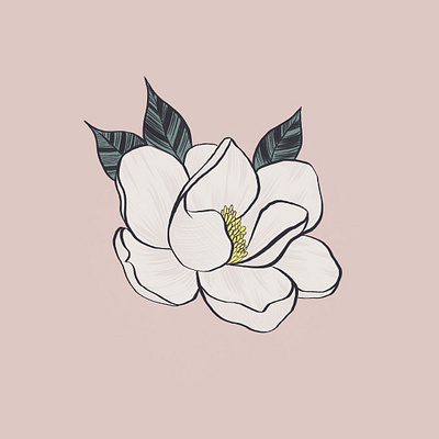 Magnolia botanical design drawing floral art flower illustration ipadpro procreate vector