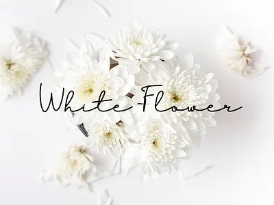 Fuzzybrand preview branding design font hand lettering handwriting handwritten signature signature font