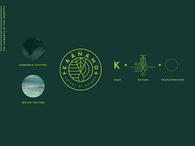 Arkane Website Snippet branding logo logo design website design
