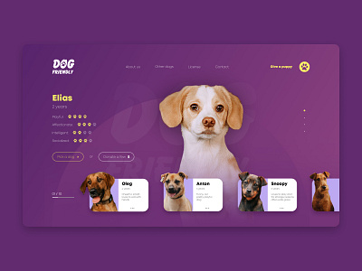 Dog Shelter // #1 Shots for Practice concept design desktop dog dogs pet pets practice puppy shelter site ui ux webpage website