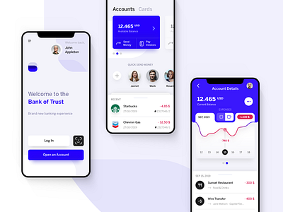 Banking UI account app app design bank bank app banking banking app chart expenses finance finance app financial app inspiration ios login mobile app ui