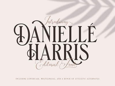 Danielle Harris - Editorial Font calligraphy fonts display display font display fonts display type editorial fonts elegant fonts font design fonts collection lettering fonts logo font logo fonts modern fonts ornaments sans serif sans serif font serif serif font serif fonts vintage fonts