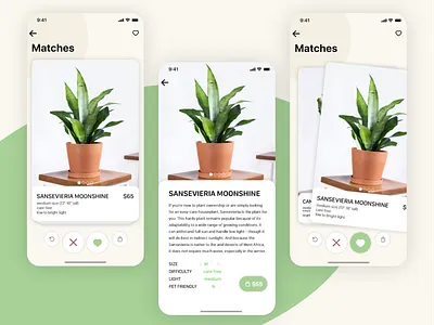 Plant Tinder app design designslices designslicesuichallenge match plant shop swipe tinder ui