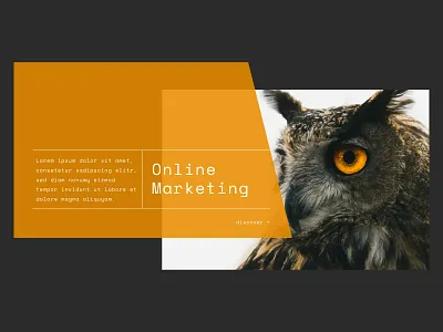 retro teaser modern retro owl purple retro font sketch sketchapp sketchbook teaser