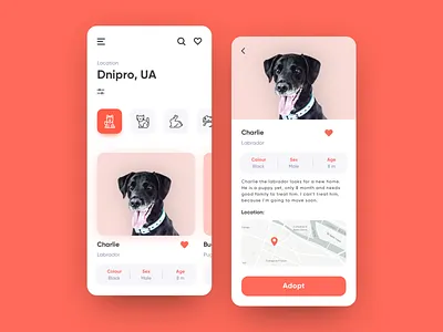 Pet adoption App UI concept animal app button clean colorful concept design dog icon illustration interaction interface layout list view mobile app onboarding pet pet addoption ui ux flow