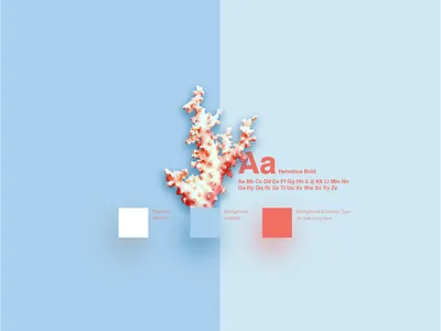 Pantone Color of the Year Assets Page