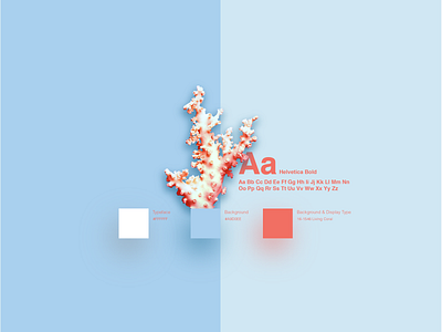 Pantone Color of the Year Assets Page