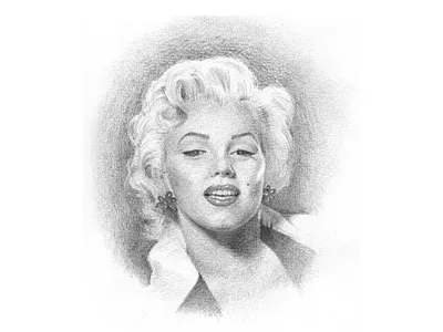 Marilyn Monroe illustration pencil pencil drawing