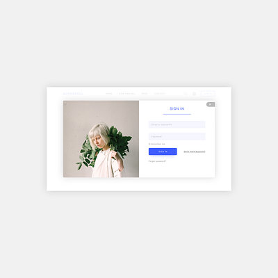 Login Screen ui ui web