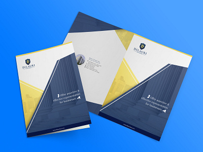 Dilauri Brochure brochure brochure design brochure layout brochure template law brochure