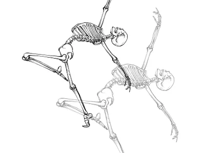 Custom tattoo design graphics lines procreate tattoo